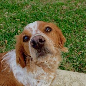 Meet your Posher, Chloe